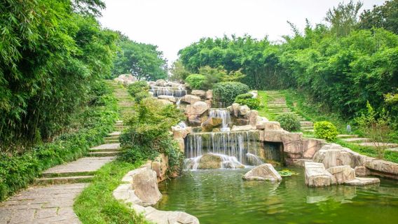 Xinyang