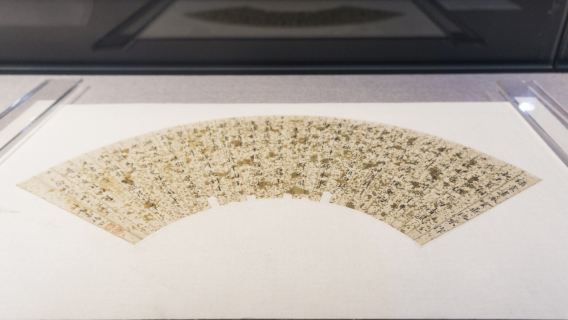 Excursión de medio día al Museo de Sichuan con visita guiada en grupo privada y servicio de guía turístico profesional en varios idiomas