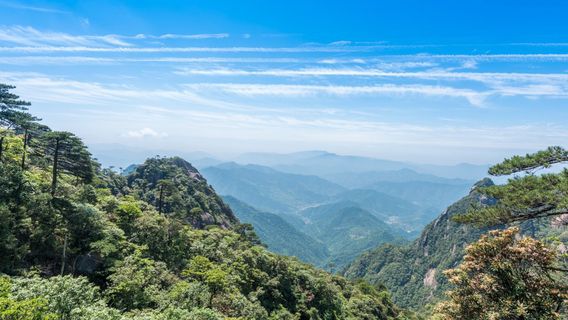 Sanqingshan Mount Scenic Area
