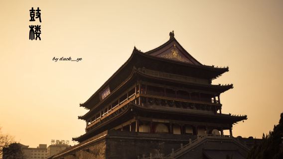 Xi'anTours