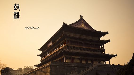 Xi'anTours