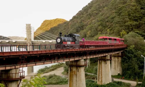 Samcheok Ocean Rail Bike