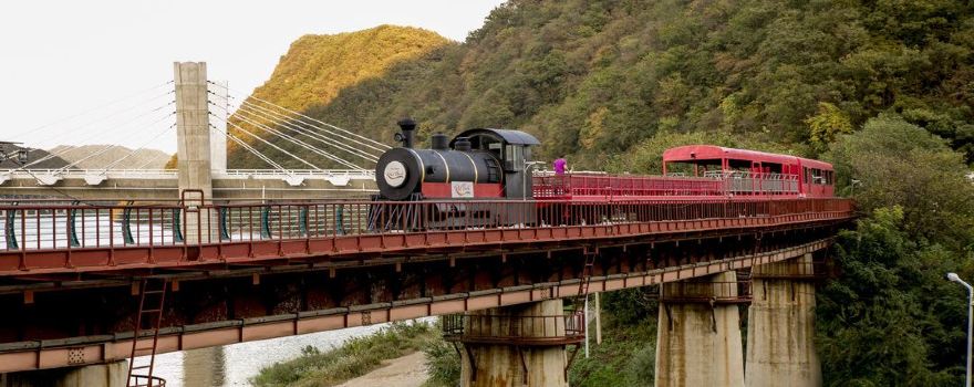 Samcheok Ocean Rail Bike