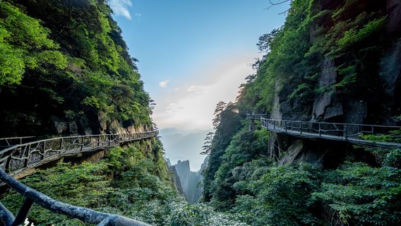 West Coast Scenic Area