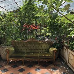 The Grounds of Alexandria User Photo