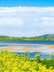 Shangdu Lake