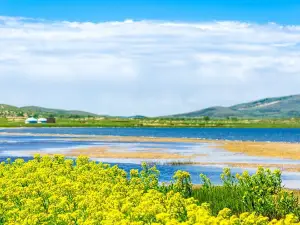 Shangdu Lake