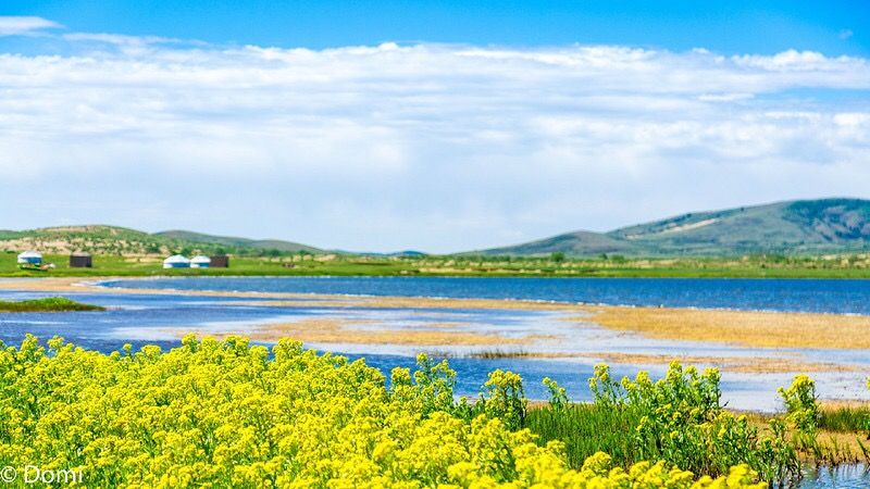 Shangdu Lake