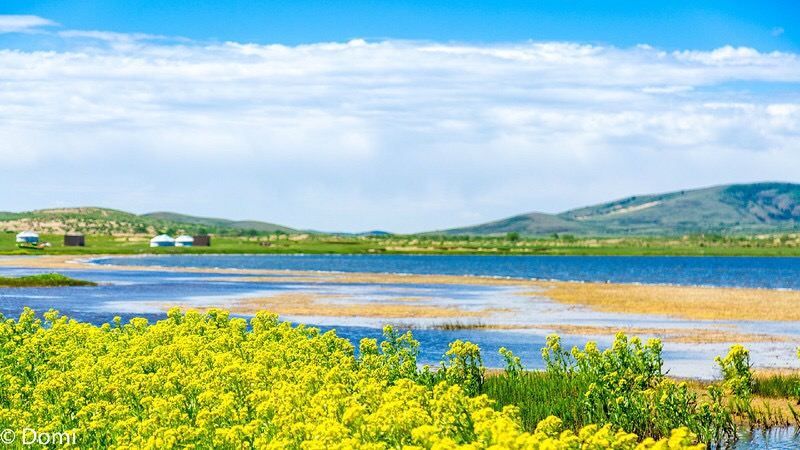 Shangdu Lake