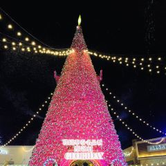 TGI FRIDAYS星期五餐廳(華泰餐廳) User Photo