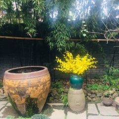 HARMONY GARDEN User Photo