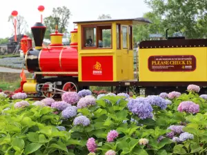 เมืองไม้ไผ่