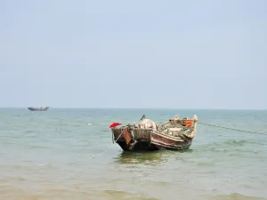 Rizhao National Coast Forest Park