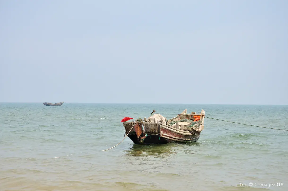 3_日照海濱國家森林公園