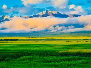 Qilian Mountain Scenic Spot