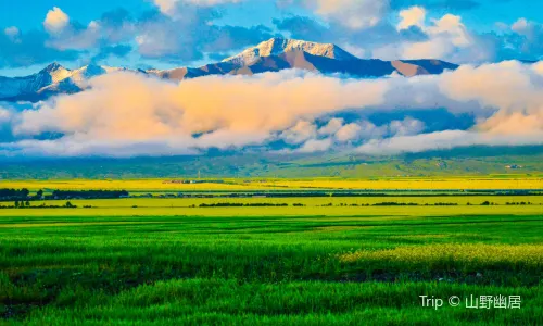 Qilian Mountain Scenic Spot