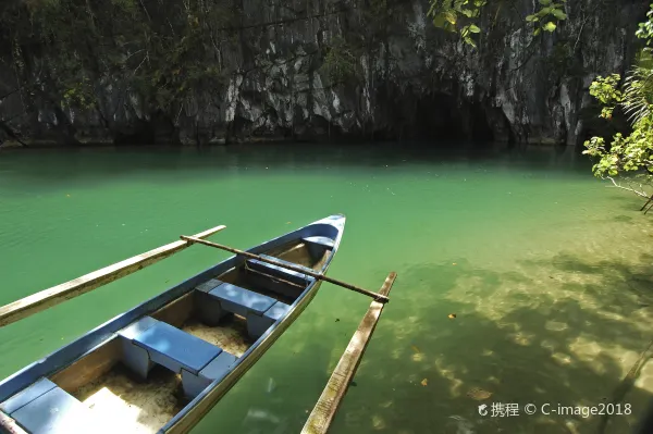 Vol Puerto Princesa Cebu