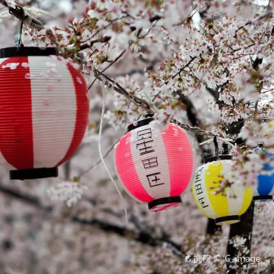 Flights from Osaka to Tokyo