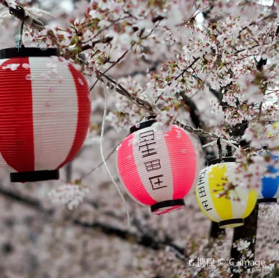 Flights from Osaka to Tokyo