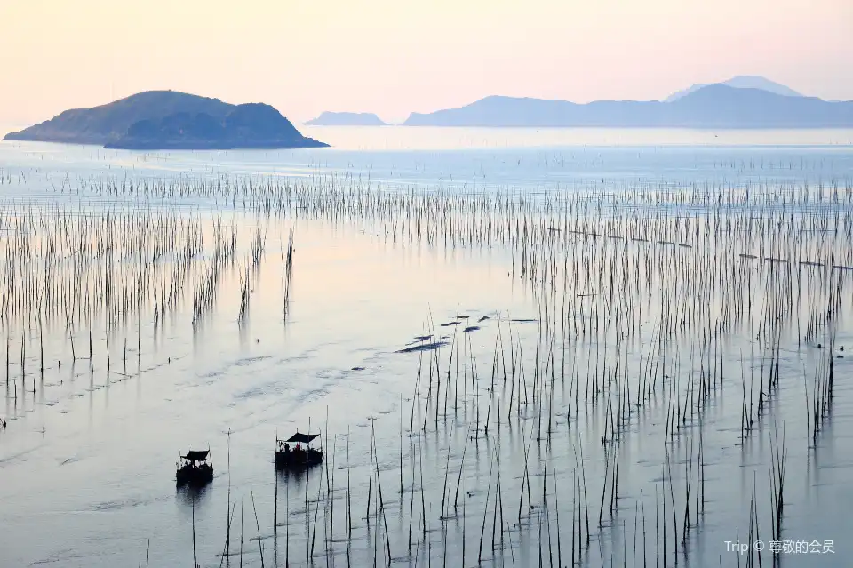 3_Beiqi Mudflat