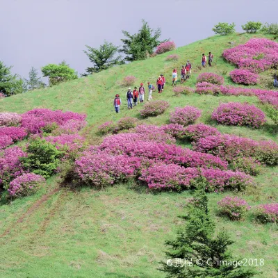 Jinggangshan to Birmingham Flights