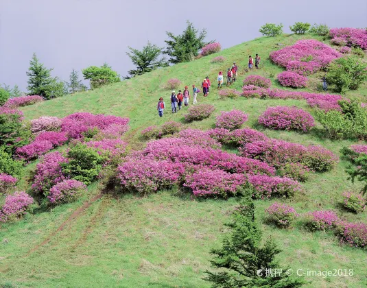 吉隆坡 飛 井岡山