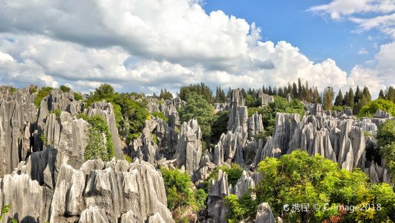 Kunming Day Tour of Stone Forest and Jiuxiang Cave Tour