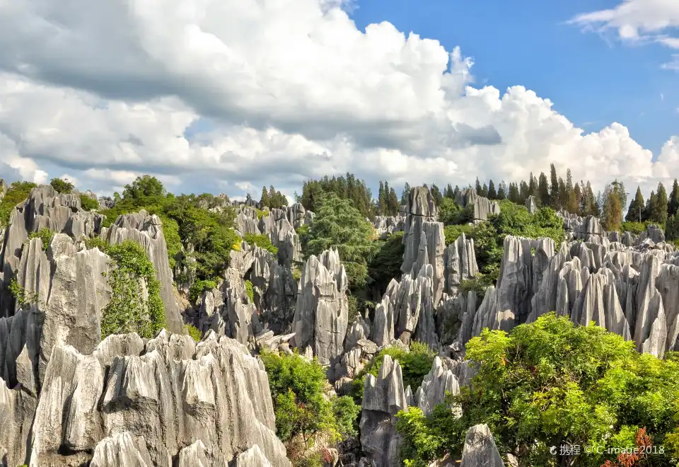 Welcome Suica&JR Line One Day Pass (Pick up at Haneda Airport)