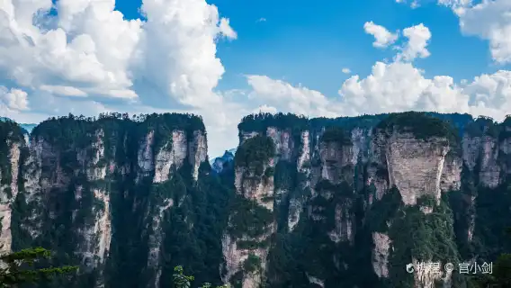 張家界國家森林公園一日遊 入園+環保車VIP快速通道