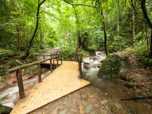 Moli Tropical Rainforest Scenic Area