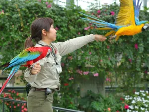 Kobe Animal Kingdom