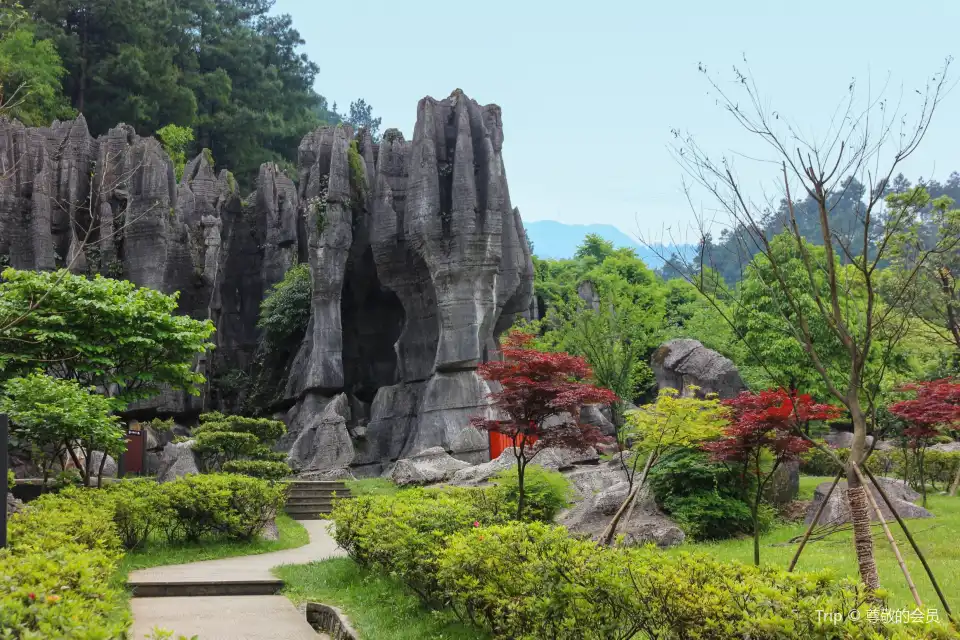5_Wansheng Stone Forest