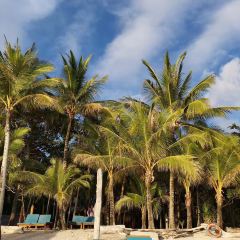 Hayahay Treehouse Bar and View Deck ảnh của người dùng