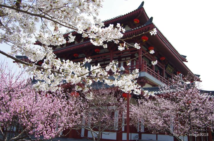 大唐芙蓉園