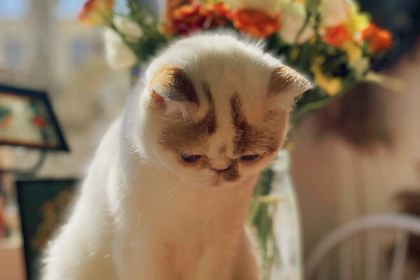 SHI GUANG LI GA FEI GUAN