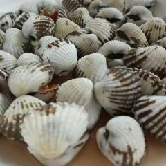 幸福岛海鲜大排档(南澳岛旅游必选店) User Photo