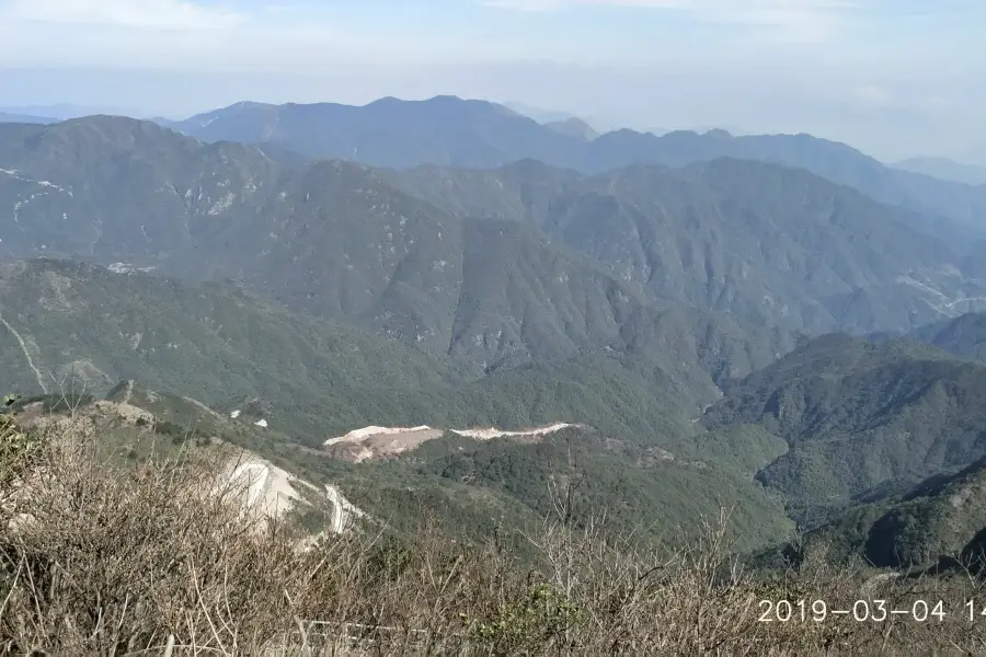 金雞山