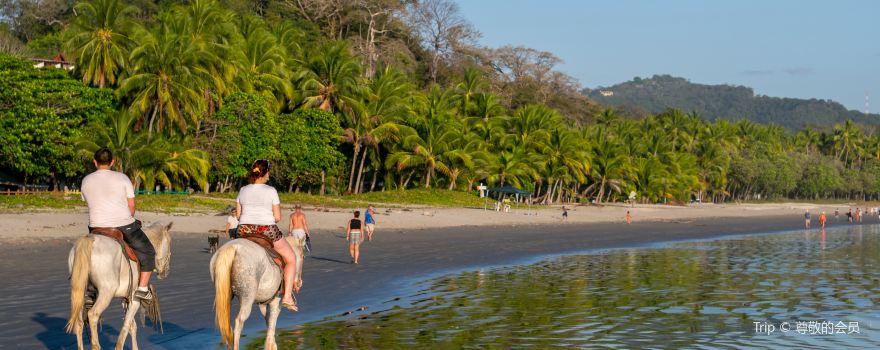 Samara Beach