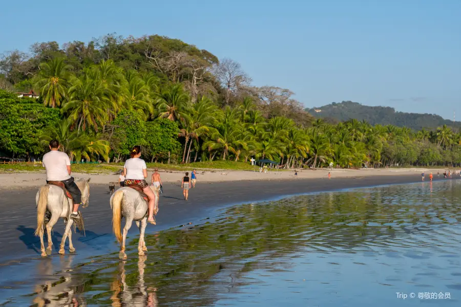 Samara Beach