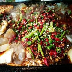 SHANG YU User Photo
