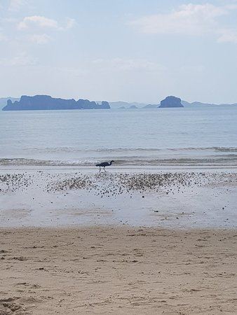 圖卡海灘(泰克海灘)