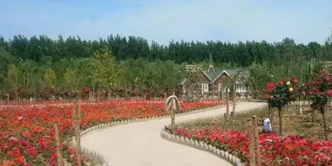 魏祠公園-熱帶植物園