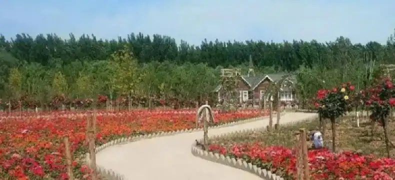 Hotels in Wei County