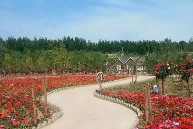 Hotels near Redaizhi Zoo