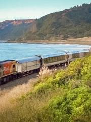 Coastal Pacific Train