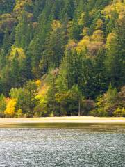 Arrow Bamboo Lake