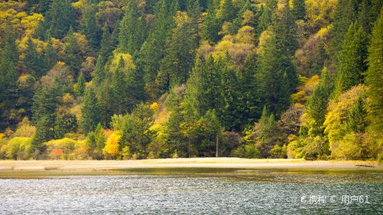 Arrow Bamboo Lake