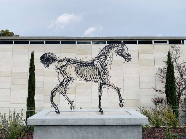 The Israel Museum