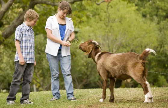 丘吉爾島傳統農場門票成人
