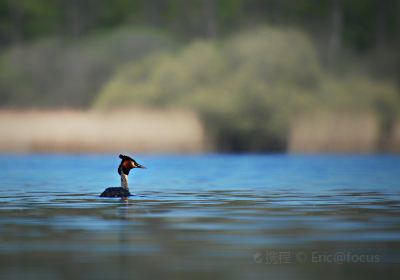 Lac de Virelles